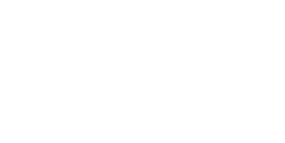 paper-bridge-logo-white